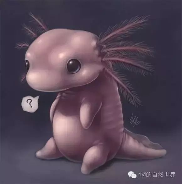 有一种外星动物叫做六角恐龙?