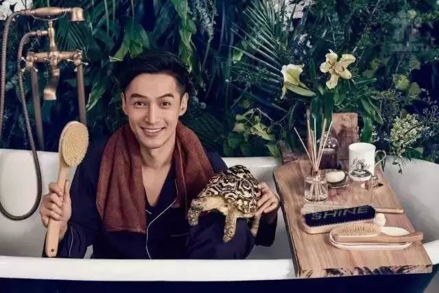 毫米) 体重达40磅(18公斤) 豹纹陆龟的背甲高,圆顶,并常有隆背的情况