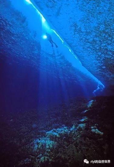 海底大冒险——南极冰冷海底奇妙景观!